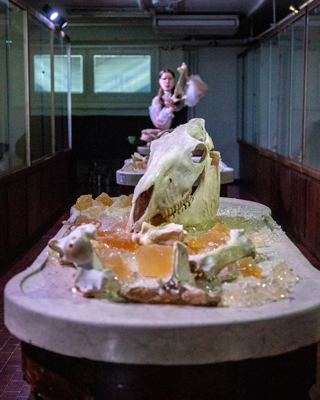 Brochure del progetto