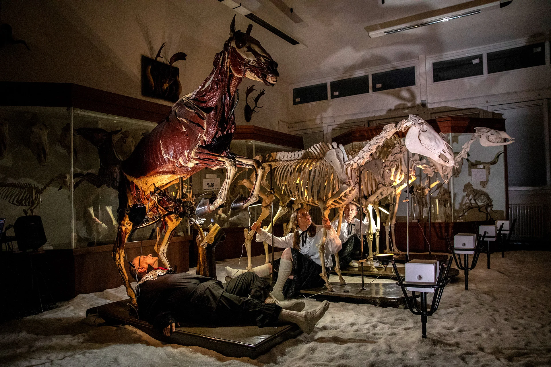 Immagine illustrativa