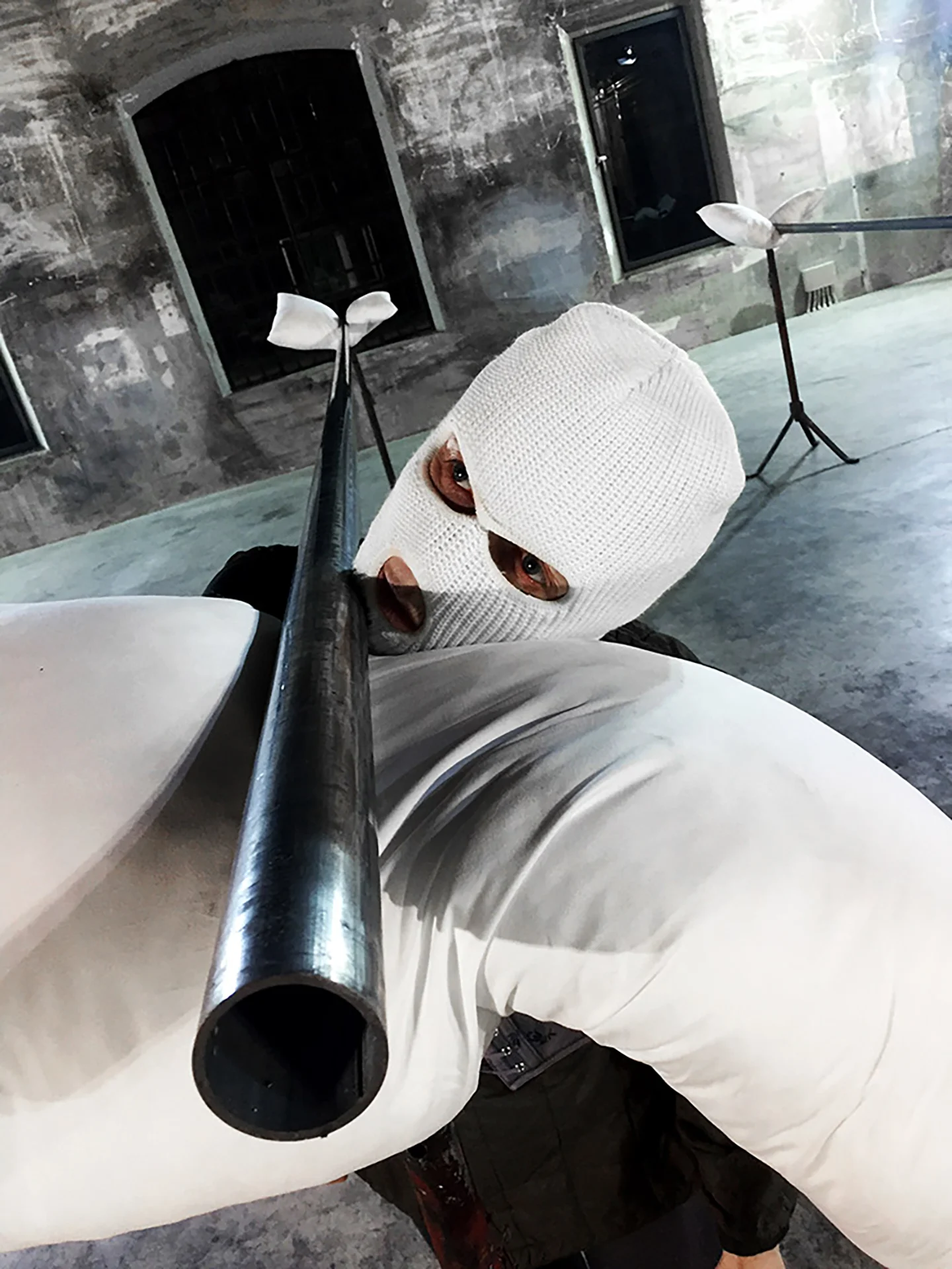 Immagine Hipógrifo violento