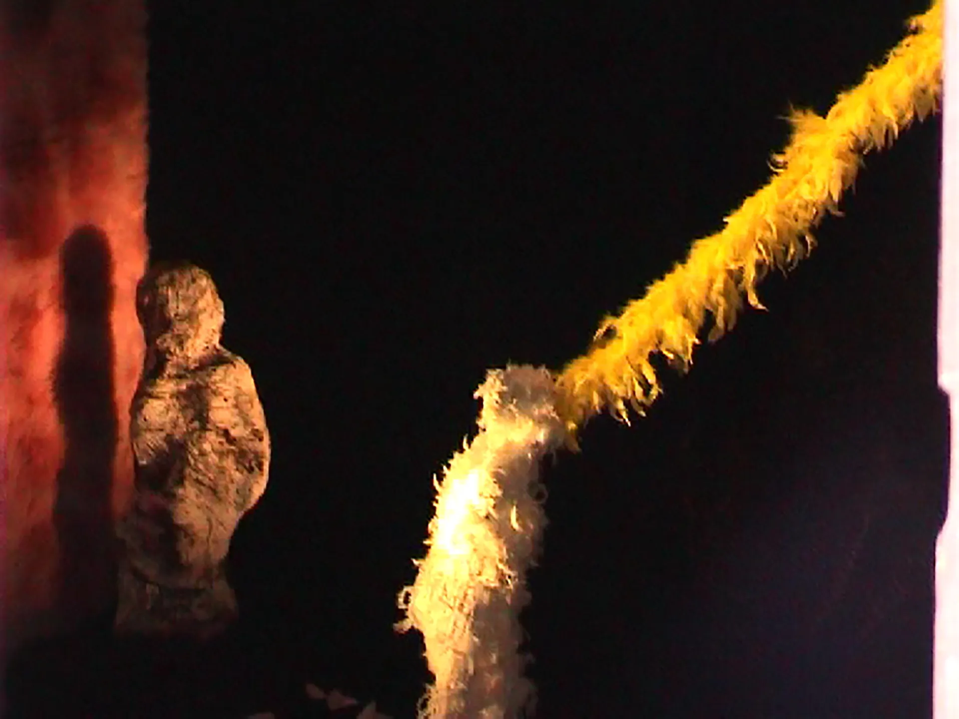 Immagine rappresentativa della sezione del sito