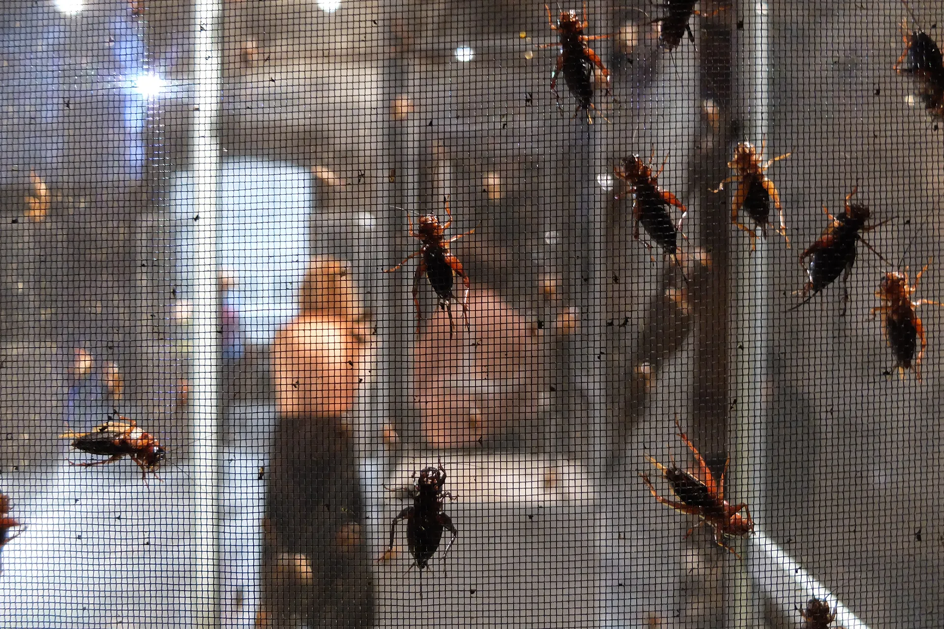 Representative image of the website section