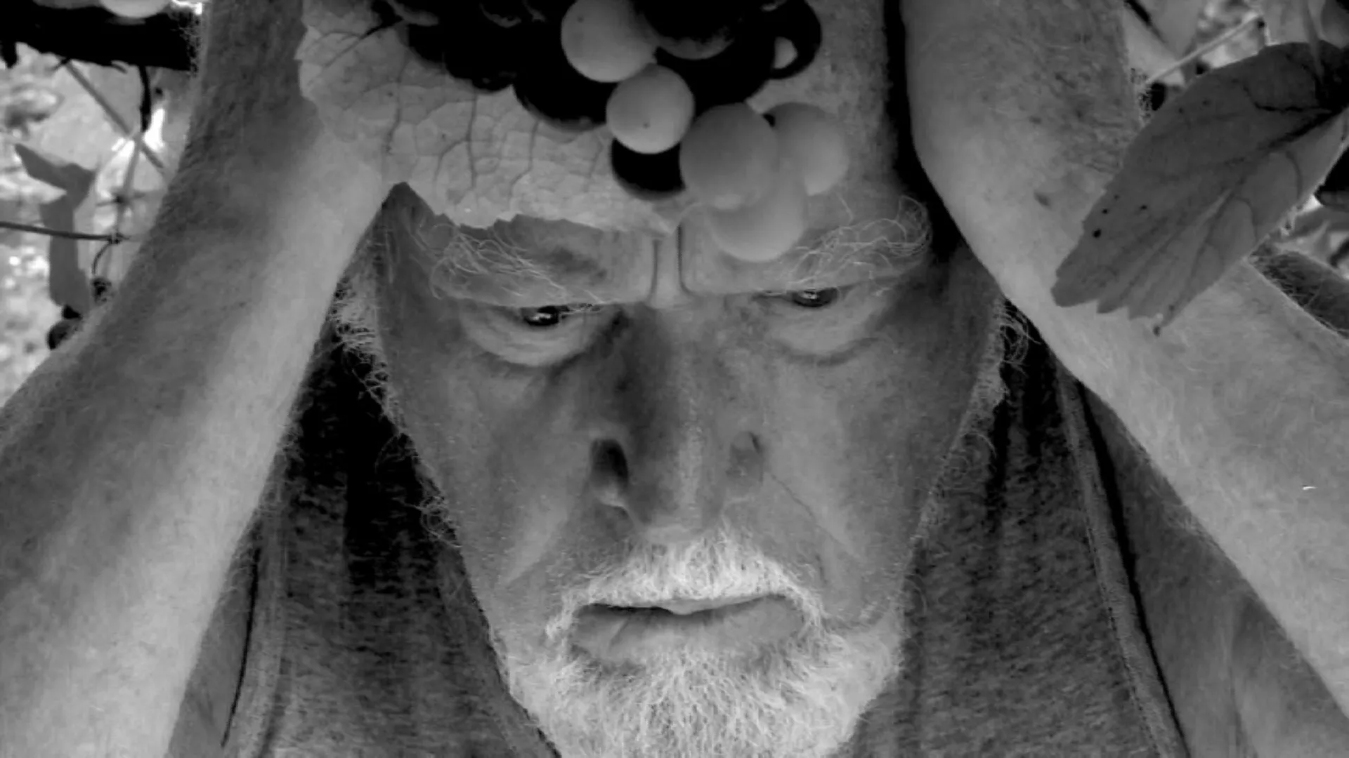 Image Aeneis #3 The Lung