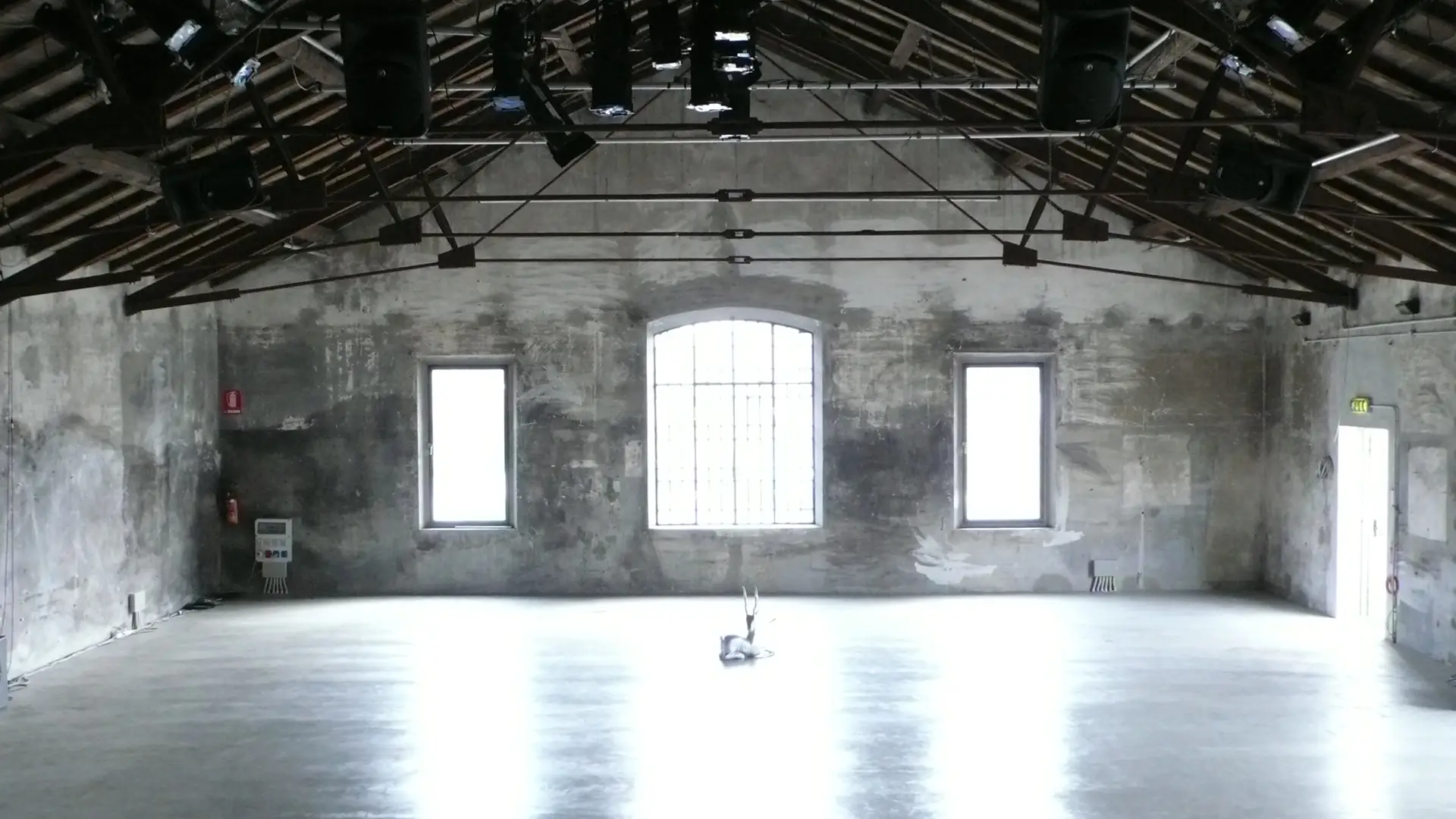 Immagine rappresentativa della sezione del sito